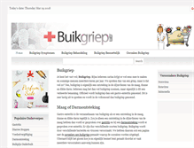 Tablet Screenshot of buikgriep.com